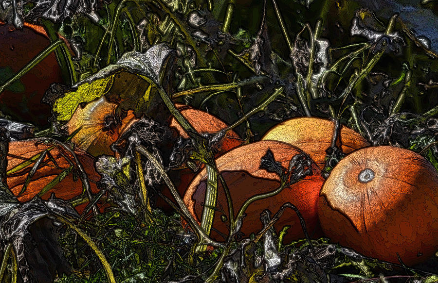 In the Garden - Pumpkin Patch 2 Photograph by Nadalyn Larsen