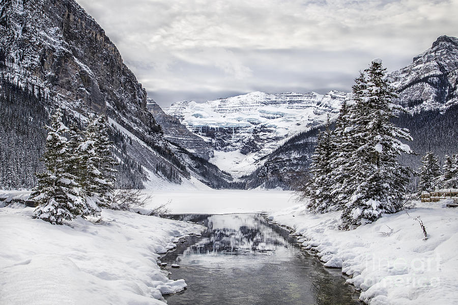 Banff National Park Photograph - In The Heart Of The Winter by Evelina Kremsdorf