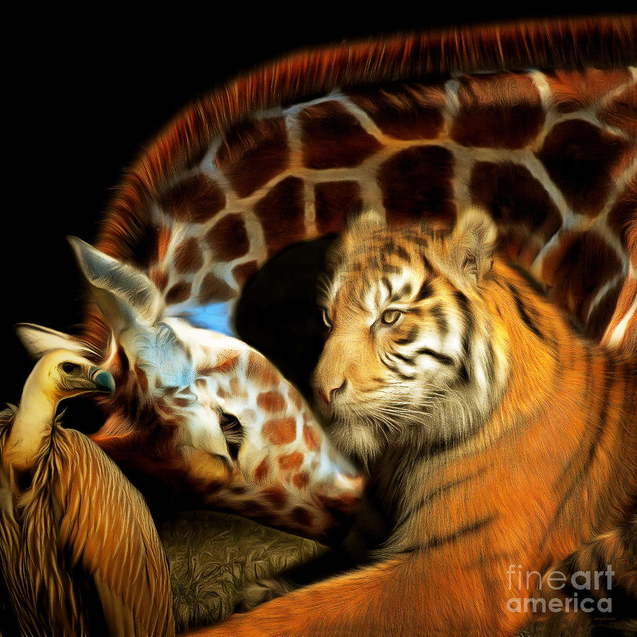 Tiger Photograph - In The Jungle 20150215brun Square by Wingsdomain Art and Photography Tiger Photograph - In The Jungle 20150215brun Square by Wingsdomain Art and Photography