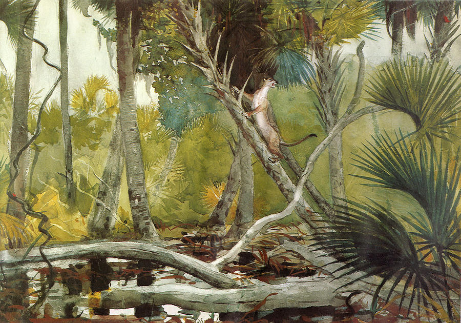 In The Jungle Digital Art by Winslow Homer