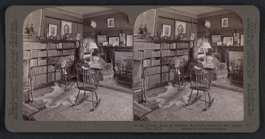 In The Library, Home Of President Roosevelt Drawing by Litz Collection ...