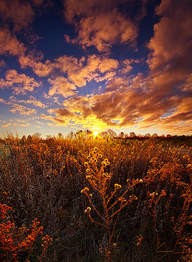 In The Light Photograph by Phil Koch | Fine Art America