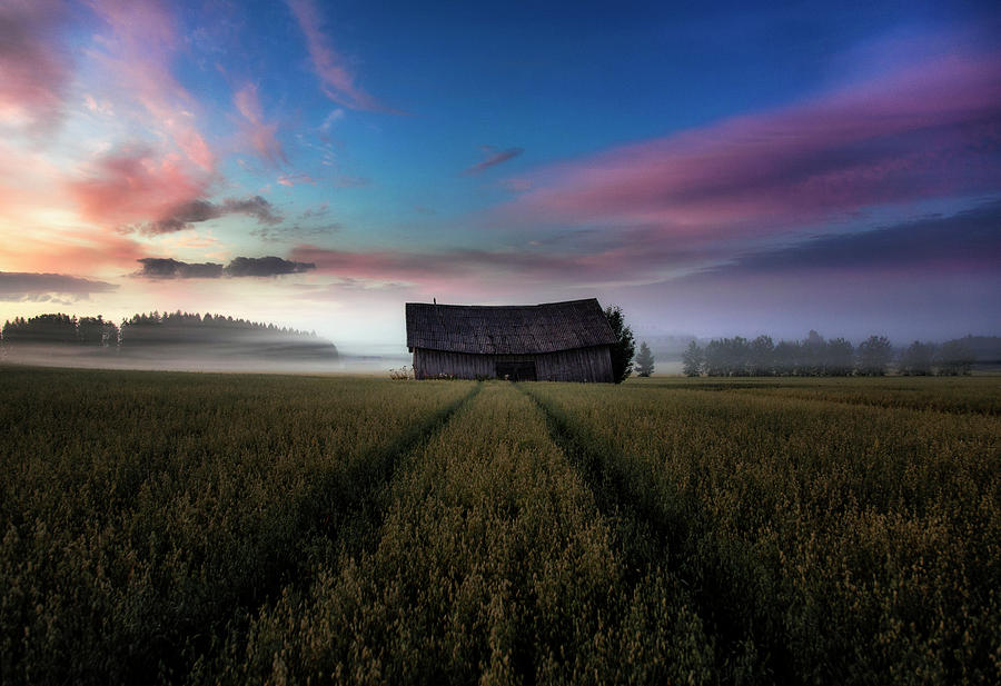 Barn Photograph - In The Middle Of The Day. by Mika Suutari