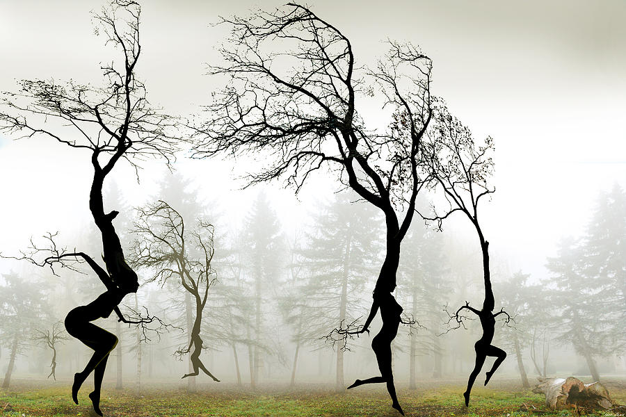 Dancing Digital Art - In The Mist by Igor Zenin Dancing Digital Art - In The Mist by Igor Zenin
