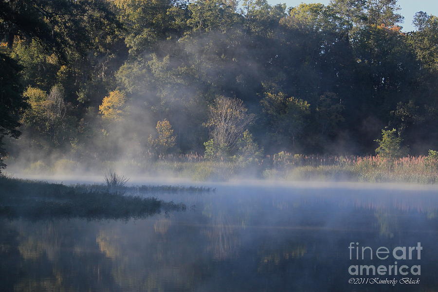 Nature Photograph - In the Mist by Kimberly Saulsberry