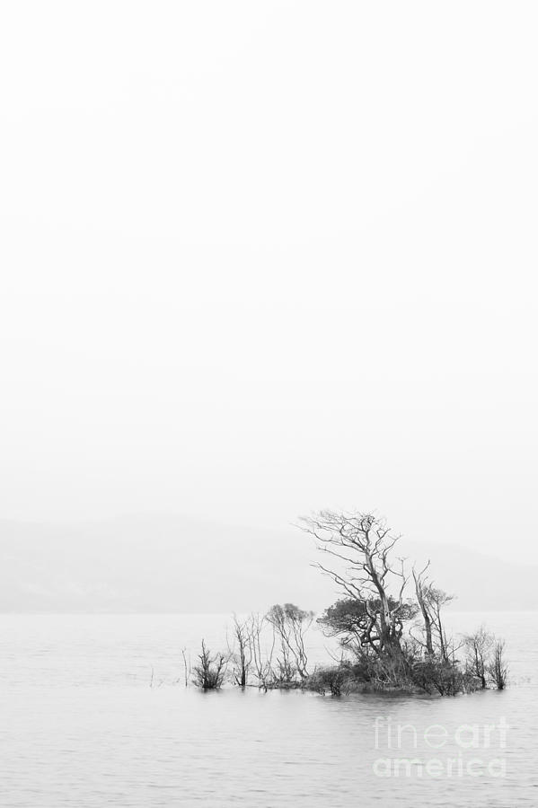 In the mist Photograph by Maciej Markiewicz