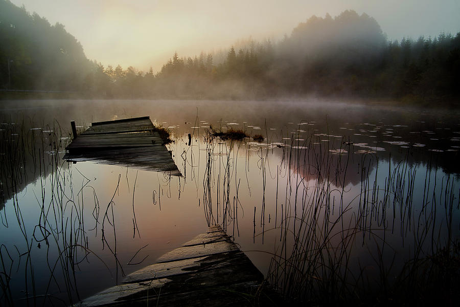 In The Misty Morning Photograph by Willy Marthinussen