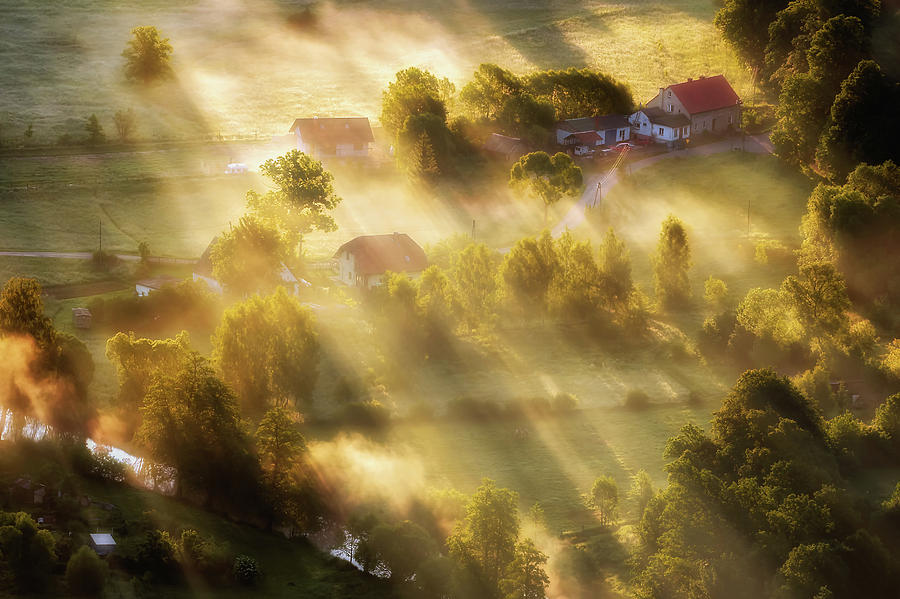 In The Morning Sun Photograph by Piotr Krol (bax)
