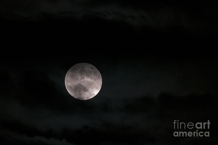Moon Photograph - In the Night Sky 5a by Sharon Talson