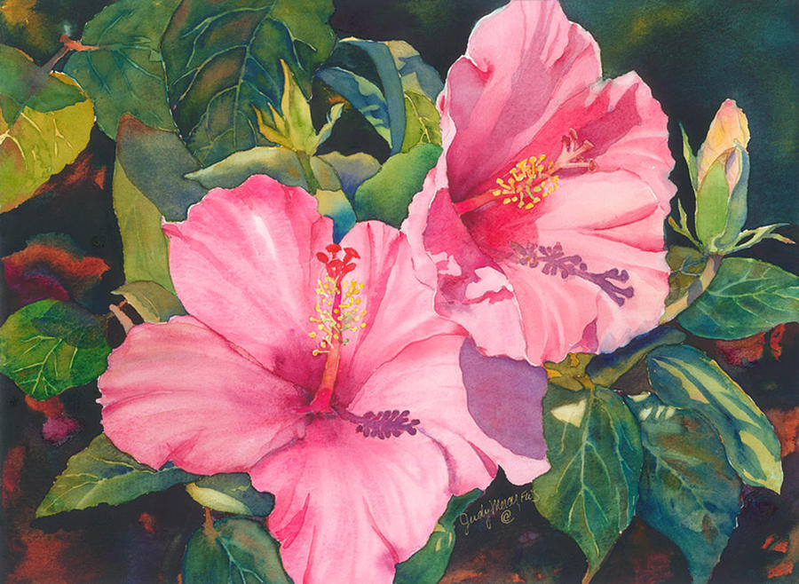 Hibiscus Painting - In the Pink by Judy Mercer