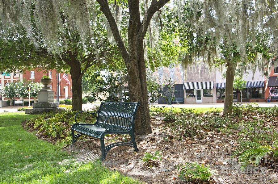 Bainbridge Photograph - In The Shade by Debra Johnson Bainbridge Photograph - In The Shade by Debra Johnson