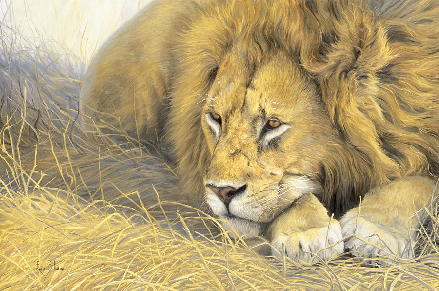 Wildlife Painting - In The Shade by Lucie Bilodeau