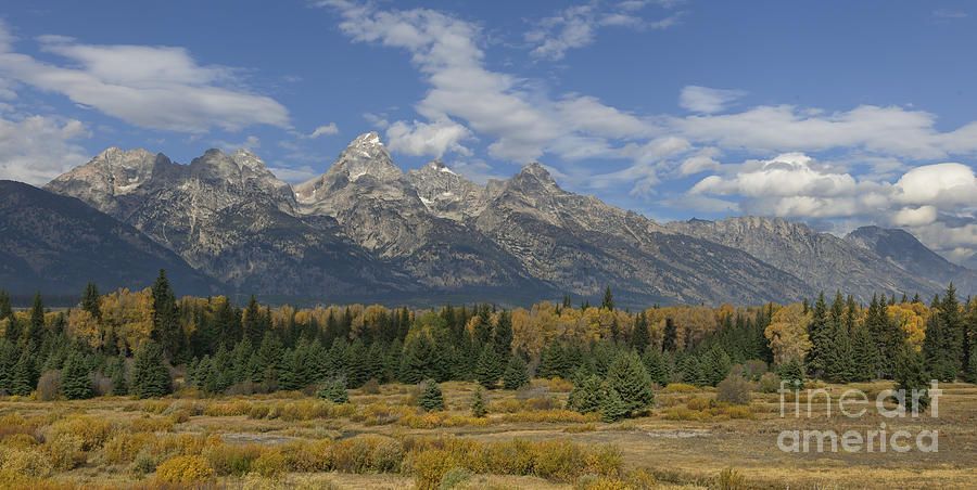 In The Shadow of the Tetons Photograph by Sandra Bronstein
