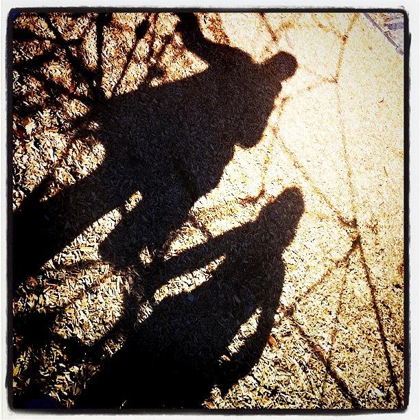 Shadows Photograph - In the shadows by Mel Winterbine