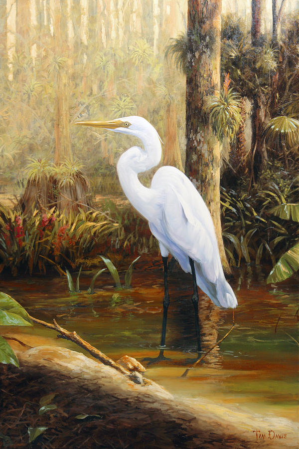 Egret Painting - In the Shallows by Tim Davis