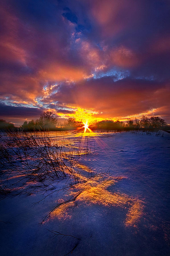 Winter Photograph - In The Still Of Dawn by Phil Koch