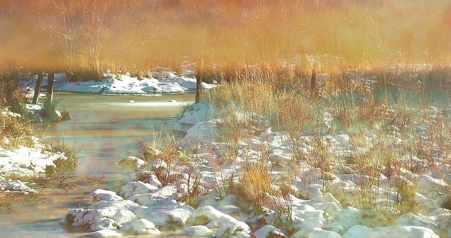 Winter Photograph - In the Twilight by Shirley Sirois