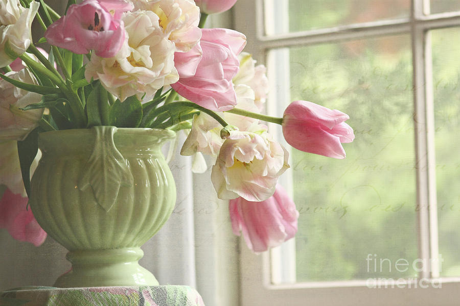 Still Life Photograph - In the Window by Sylvia Cook