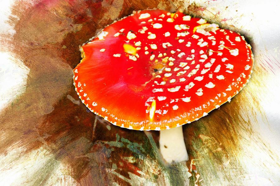 Mushroom Digital Art - In the Woods by Daniela White