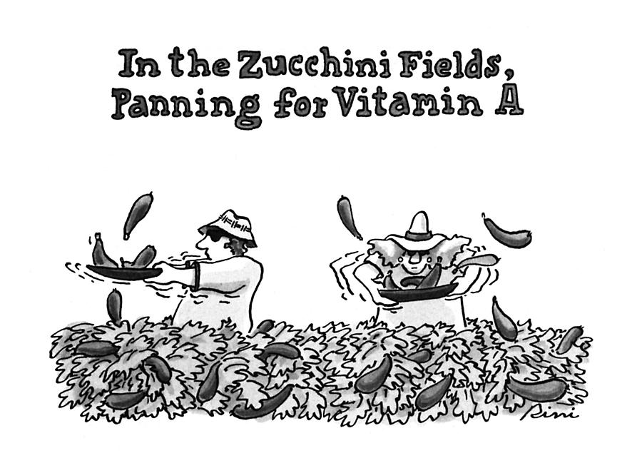 In The Zucchini Fields Drawing by J.P. Rini