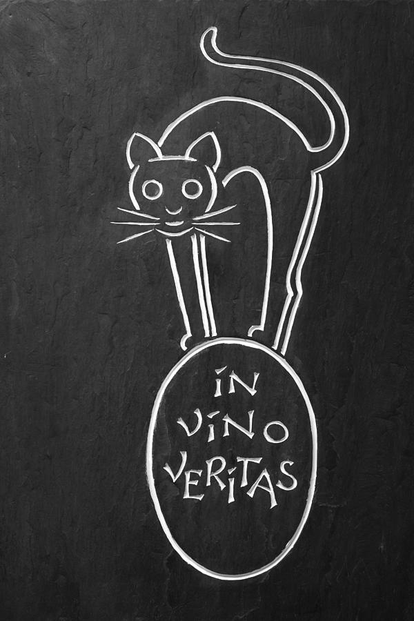 In Vino Veritas Cat Photograph by Sally Weigand