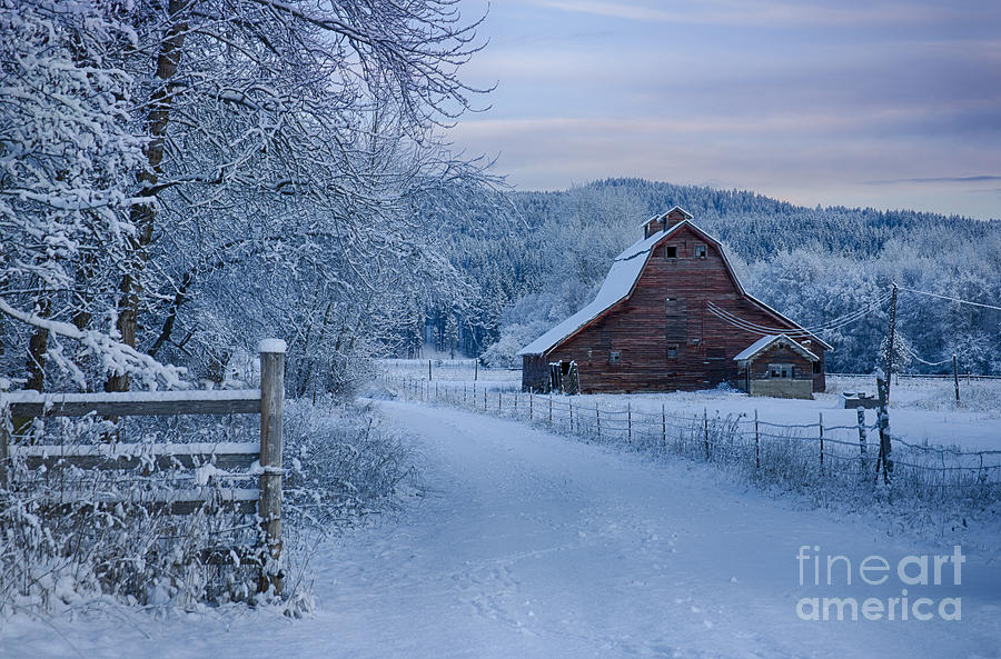 In Winter White Photograph by Idaho Scenic Images Linda Lantzy
