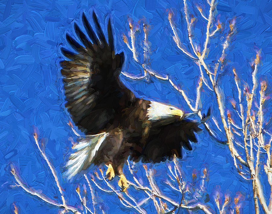 Inbound Eagle Photograph by John Freidenberg