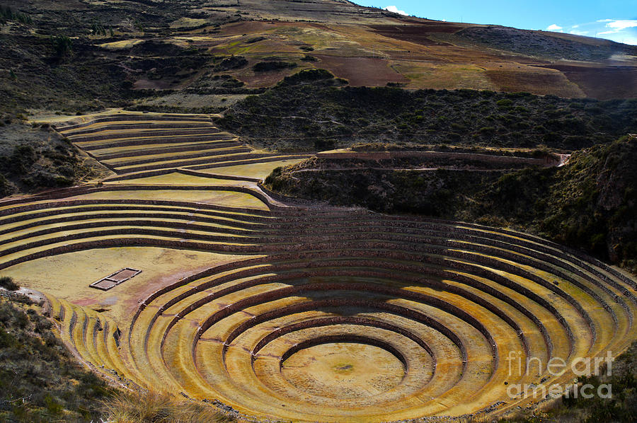 Inca Crop Circles At Moray Photograph