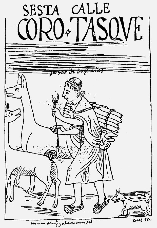 Inca Shepherd Drawing by Granger Inca Shepherd Drawing by Granger