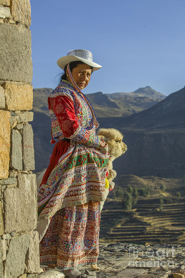Inca woman with baby alpaca Photograph by Patricia Hofmeester