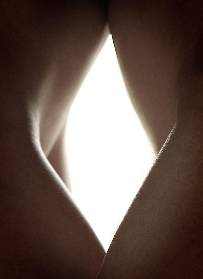 Nude Photograph - Vagina Dialogues by Dario Impini