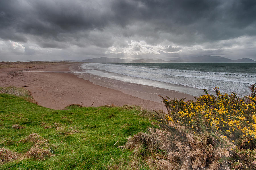 Inch Beach 1 - Dingle Peninsula - County Kerry - Ireland Photograph by Bruce Friedman