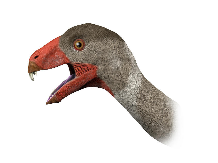 incisivosaurus dino dana
