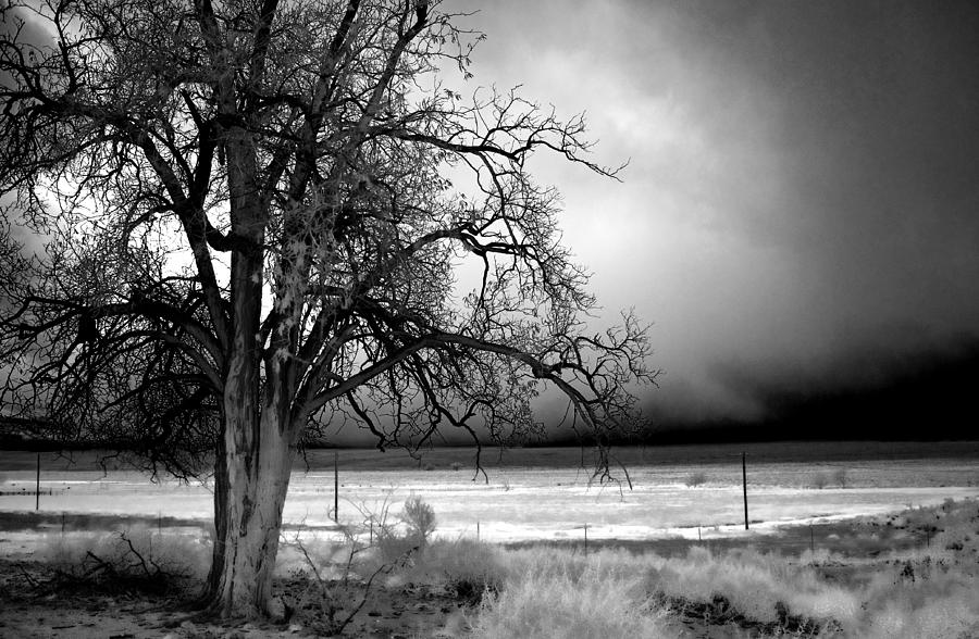 Winter Photograph - Incoming Storm by Cat Connor