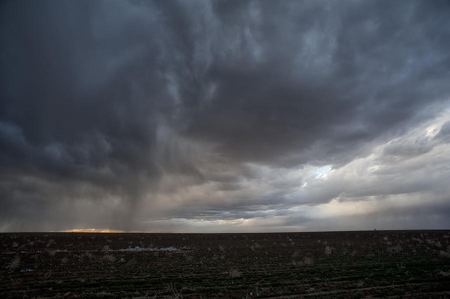 Incoming Storm Over A Cotton Field Photograph by Melany Sarafis