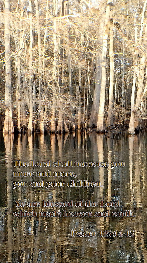 Nature Photograph - Increase from the Lord by Sheri McLeroy