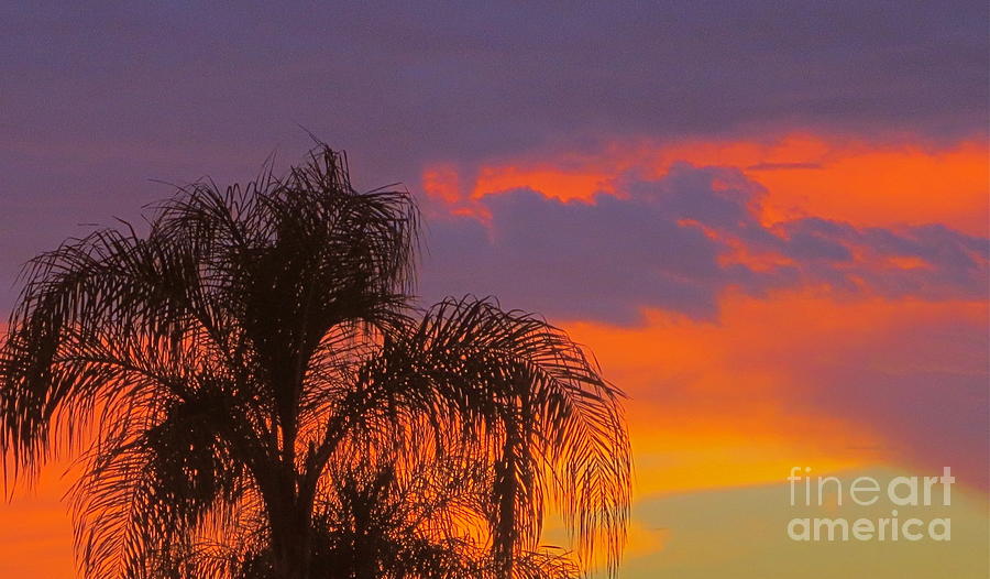 Incredible Florida Sunset Sky 1 Photograph by Robert Birkenes