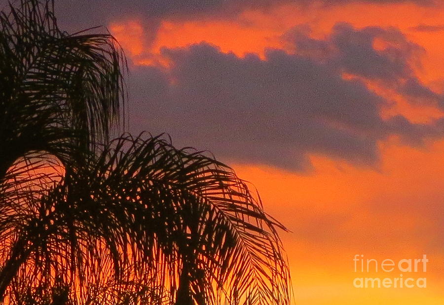 Incredible Florida Sunset Sky 2 Photograph by Robert Birkenes