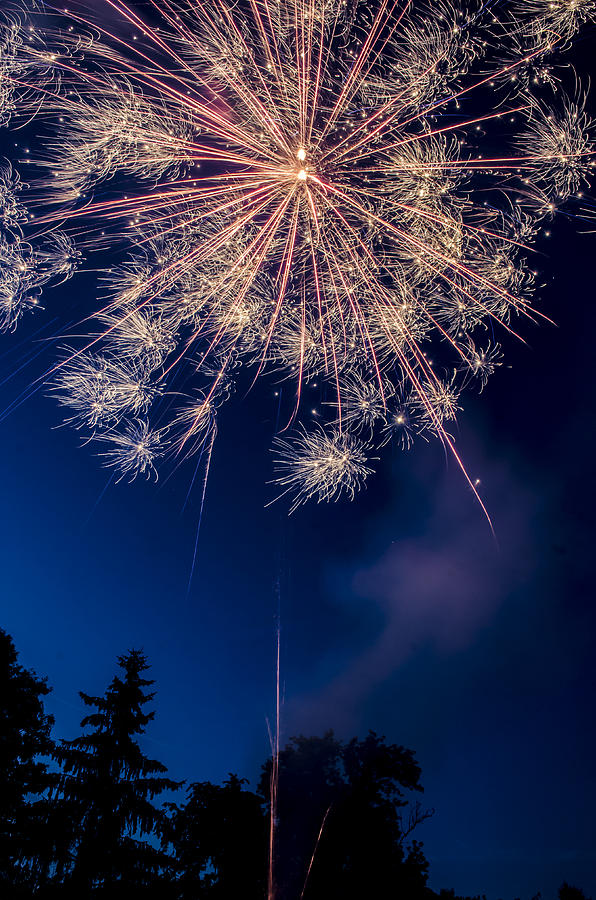 Independence Day 2014 5 Photograph by Alan Marlowe