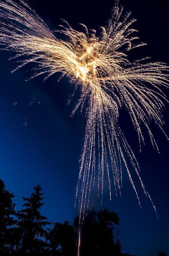 Independence Day 2014 8 Photograph by Alan Marlowe