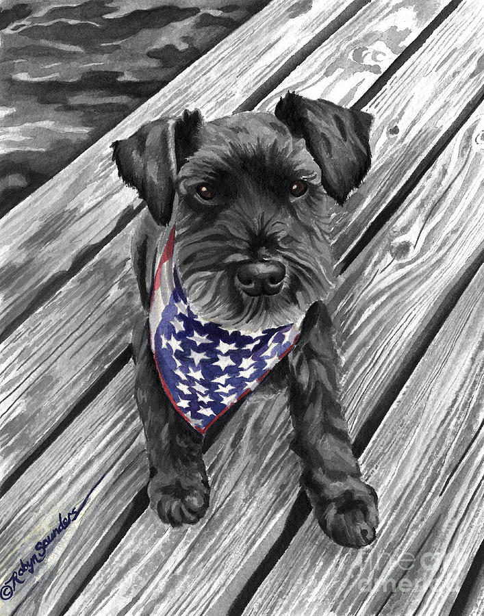 Watercolor Schnauzer Black Dog Painting by Robyn Saunders