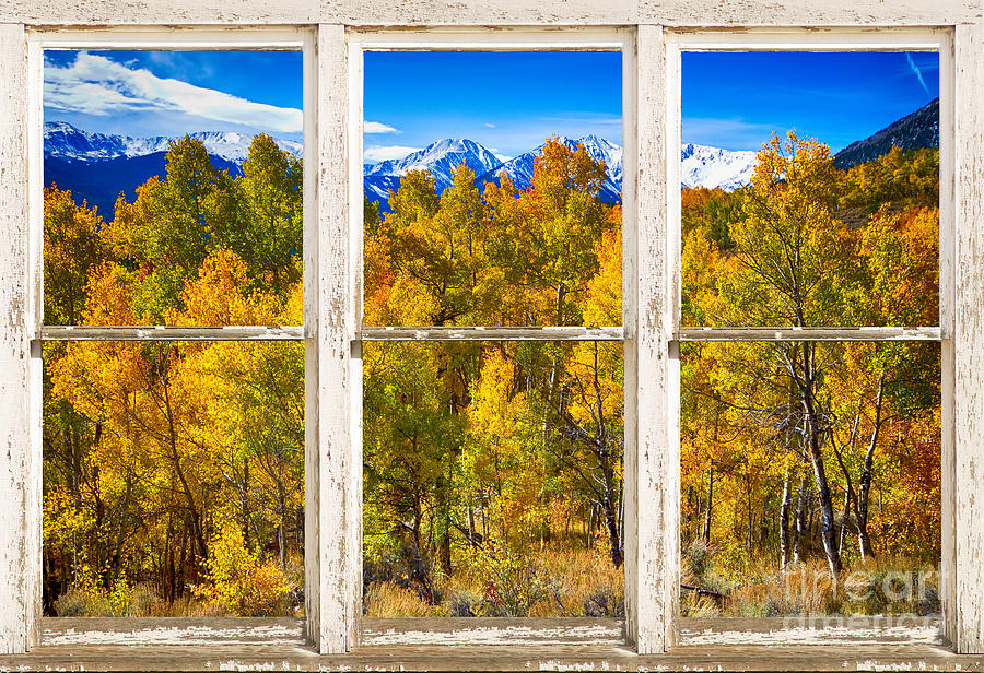 Independence Pass Autumn Colors Window View Photograph by James BO Insogna