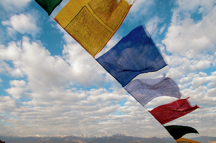 India, Ladakh, Leh, Capital Of Ladakh Photograph by Ellen Clark | Fine ...