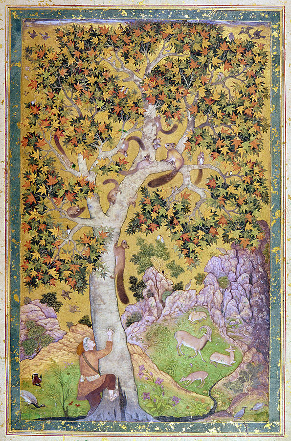 India Squirrels, C1615 Painting by Abul Hasan