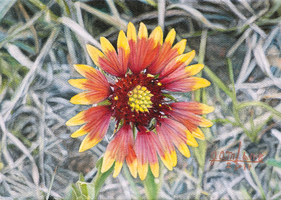 Indian Blanket Painting by Joshua Martin