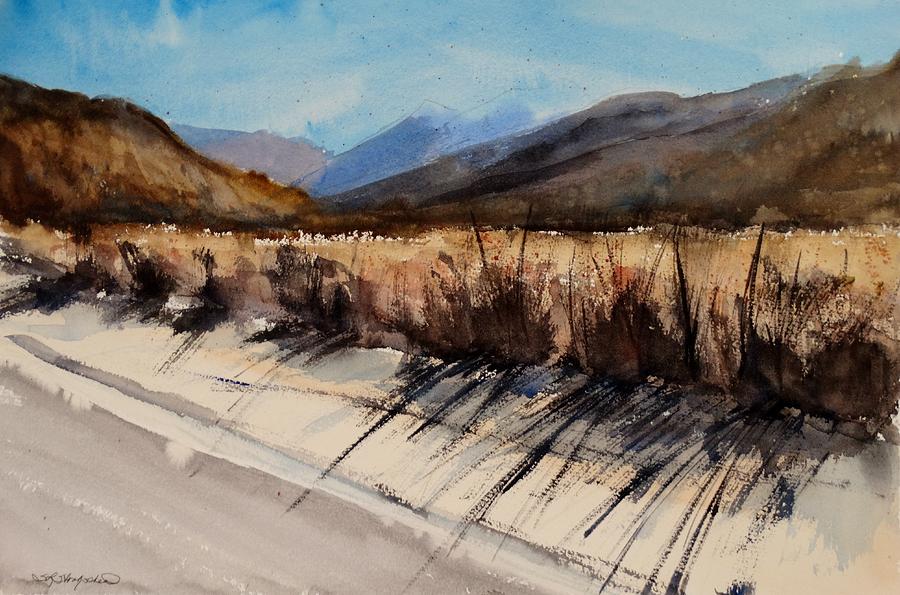 Indian Canyon Blues Study three Painting by Sandra Strohschein