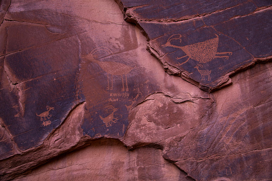 Indian Cave Art Photograph by Garry Gay