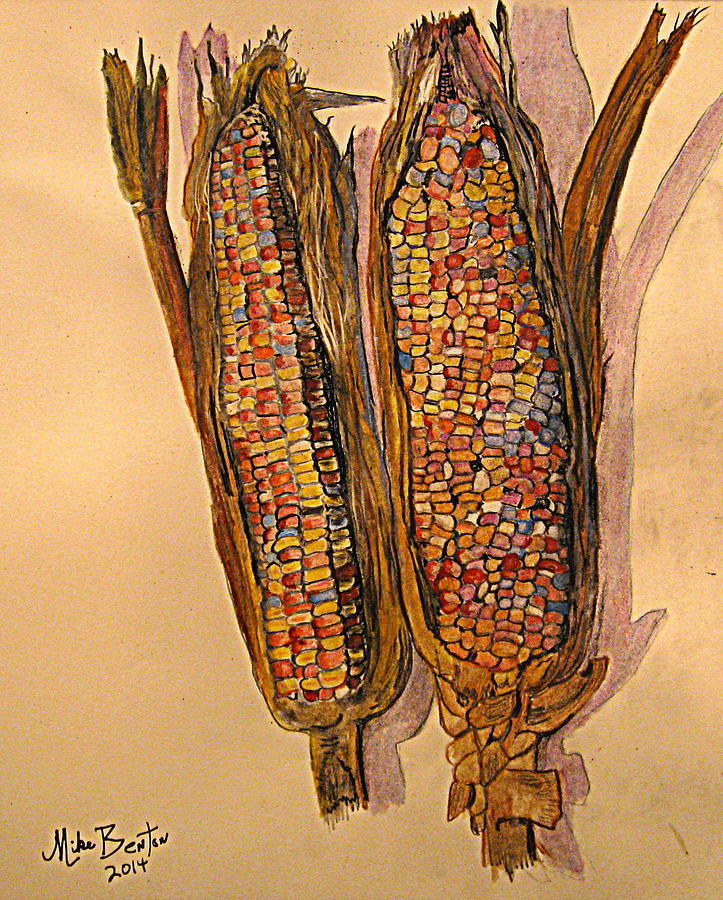 Indian Corn Drawing by Mike Benton