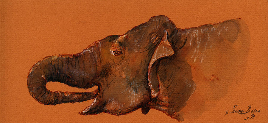 Wildlife Painting - Indian elephant by Juan  Bosco