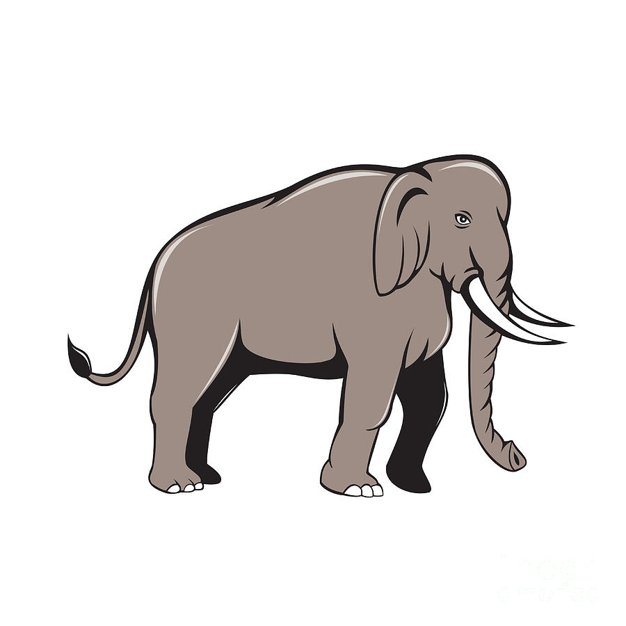 Elephant Side View Trunk PNG & SVG Design For T-Shirts